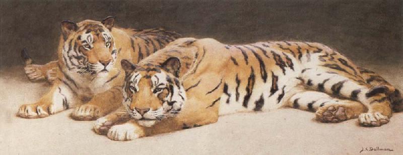 John Charles Dollman Two Wild Tigers Germany oil painting art